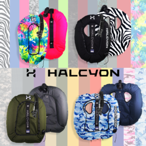 Halcyon Custom Wings